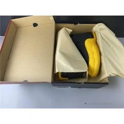 Hypeyourbeast Air Jordan 12 Retro Black 'University Gold'