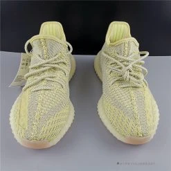 Hypeyourbeast Adidas Yeezy Boost 350 V2 'Antlia'