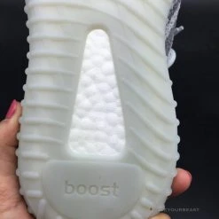 Hypeyourbeast Adidas Yeezy Boost 350 V2 'Blue Tint'