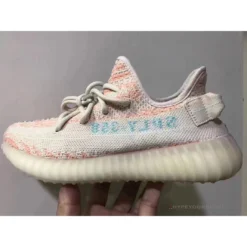 Hypeyourbeast Adidas Yeezy Boost 350 V2 'Sply Pink'