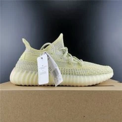 Hypeyourbeast Adidas Yeezy Boost 350 V2 'Antlia'