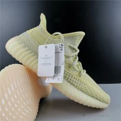 Hypeyourbeast Adidas Yeezy Boost 350 V2 'Antlia'