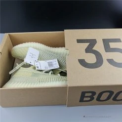 Hypeyourbeast Adidas Yeezy Boost 350 V2 'Antlia'