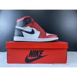 Hypeyourbeast Air Jordan 1 Retro High Snake Chicago Satin
