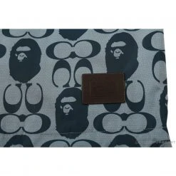 Hypeyourbeast BAPE X COACH Co-Branded Grey-Blue Hoodie