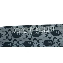 Hypeyourbeast BAPE X COACH Co-Branded Grey-Blue Hoodie