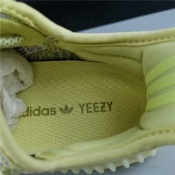 Hypeyourbeast Adidas Yeezy Boost 350 V2 'Antlia'