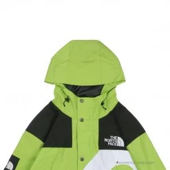 HypeYourBeast Supreme X TNF Logo Mountain Jacket Green