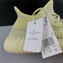 Hypeyourbeast Adidas Yeezy Boost 350 V2 'Antlia'
