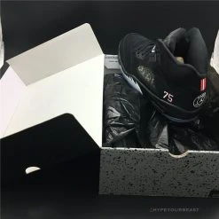 Hypeyourbeast Jordan 5 Retro Paris Saint-Germain