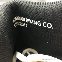 Hypeyourbeast Nigel Sylvester X Air Jordan 1 Retro High OG 'Nigel Sylvester'