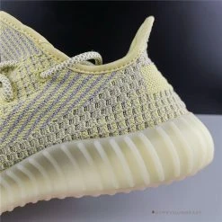 Hypeyourbeast Adidas Yeezy Boost 350 V2 'Antlia'