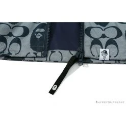 Hypeyourbeast BAPE X COACH Co-Branded Grey-Blue Hoodie