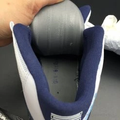 Hypeyourbeast Air Jordan 11 Retro Pantone